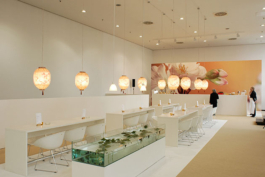 Katrin Schilling  Photography