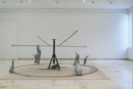 Katrin Schilling  Photography