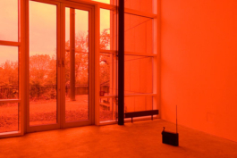 Katrin Schilling  Photography