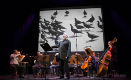 Katrin Schilling  Photography