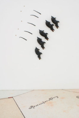 Katrin Schilling  Photography