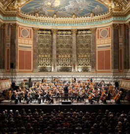 Katrin Schilling  Photography