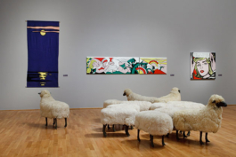 Katrin Schilling  Photography