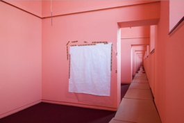 Katrin Schilling  Photography