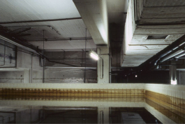 Katrin Schilling  Photography