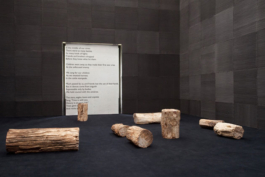 Katrin Schilling  Photography