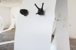 Katrin Schilling  Photography