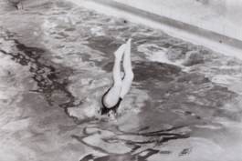 Katrin Schilling  Photography