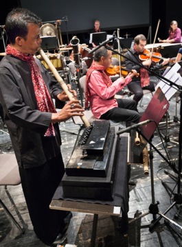 Katrin Schilling  Photography