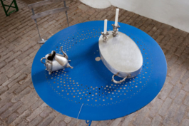 Katrin Schilling  Photography